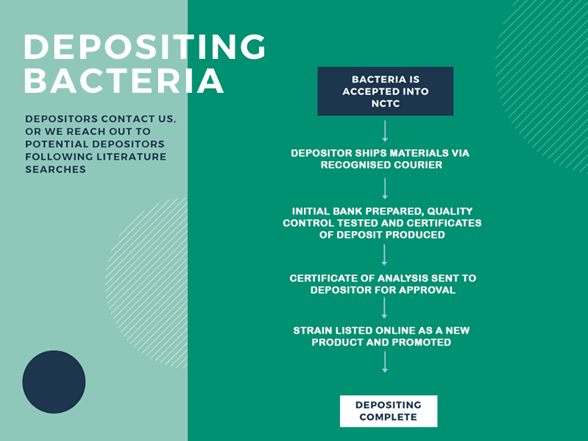 How to deposit flow chart for bacteria
