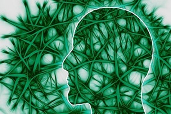 Neural pathways in green