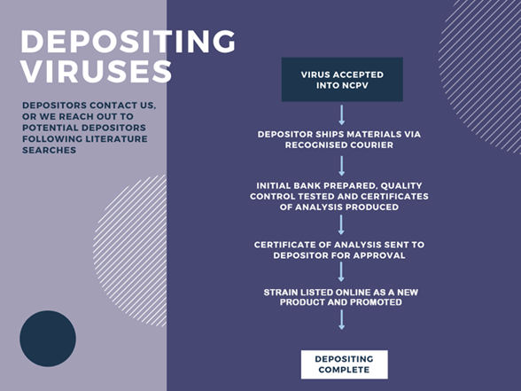 How to deposit flow chart for viruses